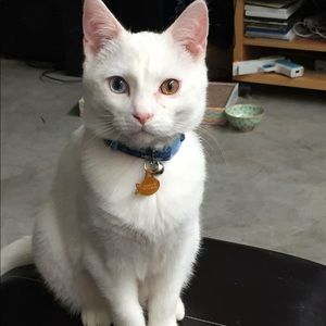 Meet your Posher, Stephanie